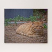 De Meester van het Zonnige Pad Legpuzzel (Horizontaal)