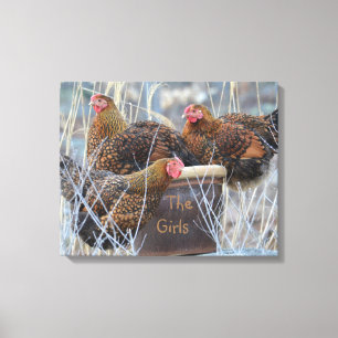 "De meisjes" Chicken Wrapped Canvas Afdruk