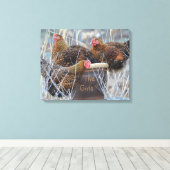 "De meisjes" Chicken Wrapped Canvas Afdruk (Insitu (Houten vloer))