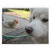 de meisjes en de tuin, vol. 4 kalender (Hoes)