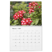 de meisjes en de tuin, vol. 4 kalender (Feb 2027)