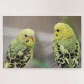 De meisjes legpuzzel (Horizontaal)