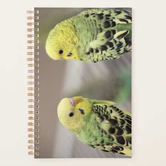 De meisjes planner (Voorkant)