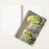De meisjes planner (Display)