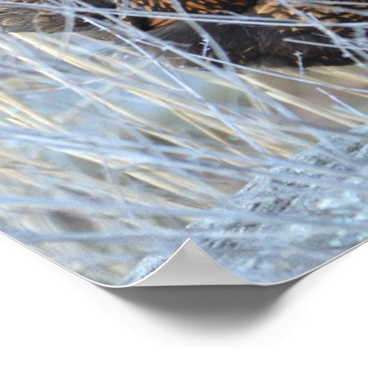 "De meisjes" Poster (Hoek)