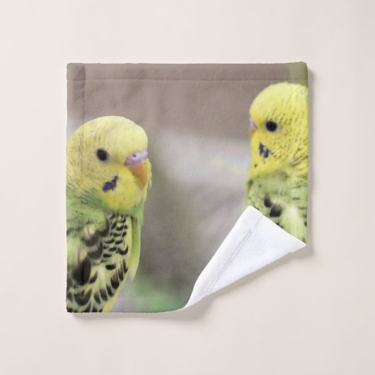 De meisjes washandje (Wasdoekje)