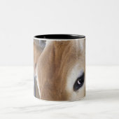 De melkkoe van Jersey met kop in het hoofdslot. (Center)