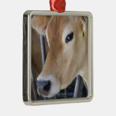 De melkkoe van Jersey met kop in het hoofdslot. Metalen Ornament (Rechts)
