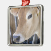 De melkkoe van Jersey met kop in het hoofdslot. Metalen Ornament (Links)