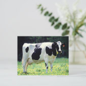 De melkkoe van Wisconsin Briefkaart (Staand voorkant)