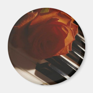 De melodie van de pianomagneet magneet