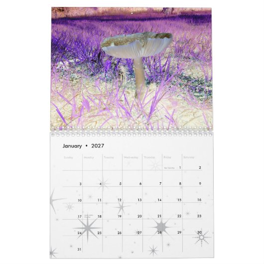 De mengeling-multi-design-Kalender van de pret Kalender (Jan 2027)