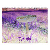 De mengeling-multi-design-Kalender van de pret Kalender (Hoes)