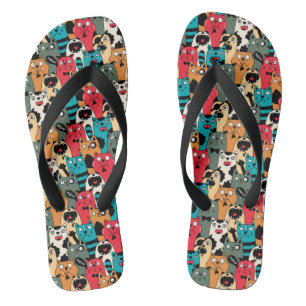 De menigte katten teenslippers