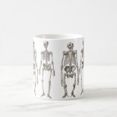 De mens en Ape Skeletten Primate Ontbrekende Mok v (Center)