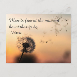 De mens is vrij Voltaire citaat Briefkaart