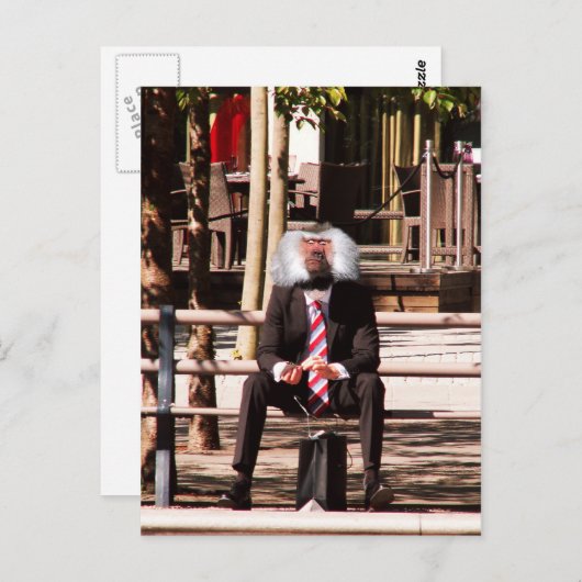 De menselijke aap briefkaart (Voorkant / Achterkant)