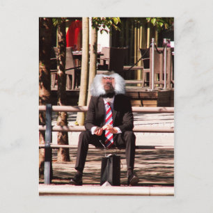 De menselijke aap briefkaart