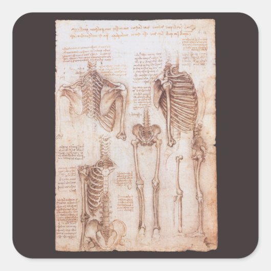 De menselijke anatomie skeletbotten van Leonardo d Vierkante Sticker (Voorkant)