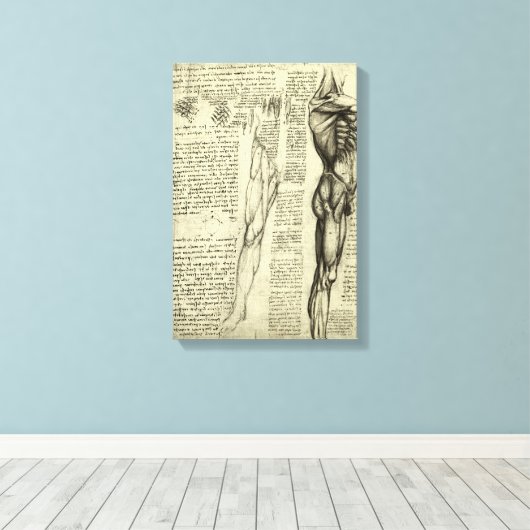 De menselijke anatomie van Leonardo da Vinci Manne Canvas Afdruk (Insitu (Houten vloer))
