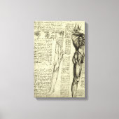 De menselijke anatomie van Leonardo da Vinci Manne Canvas Afdruk (Voorkant)