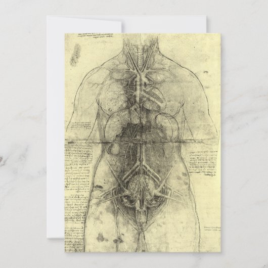 De menselijke anatomie van Leonardo da Vinci, Vrou (Voorkant)