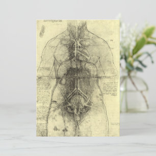 De menselijke anatomie van Leonardo da Vinci, Vrou