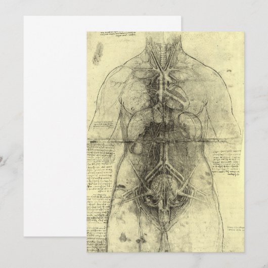 De menselijke anatomie van Leonardo da Vinci, Vrou (Voorkant / Achterkant)
