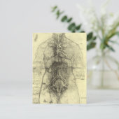 De menselijke anatomie van Leonardo da Vinci, Vrou Briefkaart (Staand voorkant)