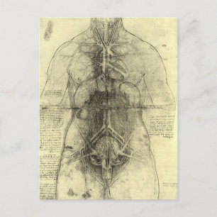De menselijke anatomie van Leonardo da Vinci, Vrou Briefkaart
