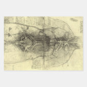 De menselijke anatomie van Leonardo da Vinci, Vrou Inpakpapier Vel (Voorkant 3)