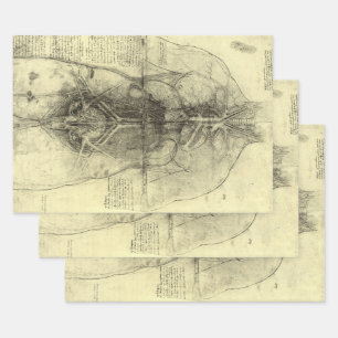 De menselijke anatomie van Leonardo da Vinci, Vrou Inpakpapier Vel