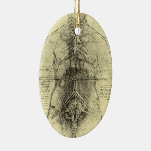 De menselijke anatomie van Leonardo da Vinci, Vrou Keramisch Ornament (Rechts)