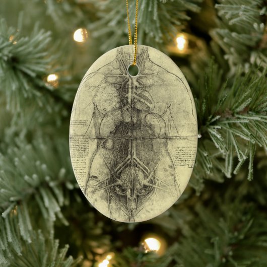 De menselijke anatomie van Leonardo da Vinci, Vrou Keramisch Ornament (Boom)