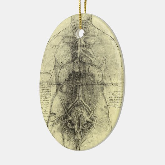 De menselijke anatomie van Leonardo da Vinci, Vrou Keramisch Ornament (Links)