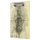 De menselijke anatomie van Leonardo da Vinci, Vrou Klembord (Links)