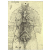 De menselijke anatomie van Leonardo da Vinci, Vrou Klembord (Achterkant)
