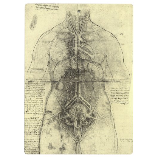 De menselijke anatomie van Leonardo da Vinci, Vrou Klembord (Achterkant)