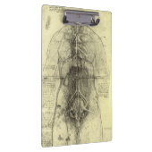 De menselijke anatomie van Leonardo da Vinci, Vrou Klembord (Rechts)