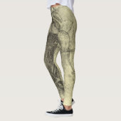 De menselijke anatomie van Leonardo da Vinci, Vrou Leggings (Links)