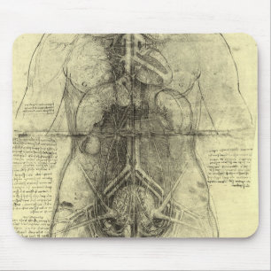 De menselijke anatomie van Leonardo da Vinci, Vrou Muismat
