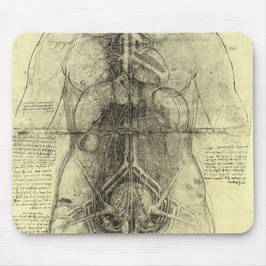 De menselijke anatomie van Leonardo da Vinci, Vrou Muismat (Voorkant)
