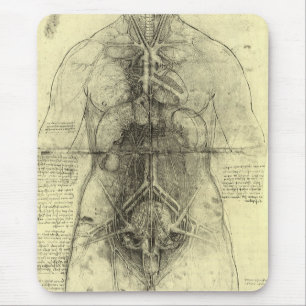 De menselijke anatomie van Leonardo da Vinci, Vrou Muismat
