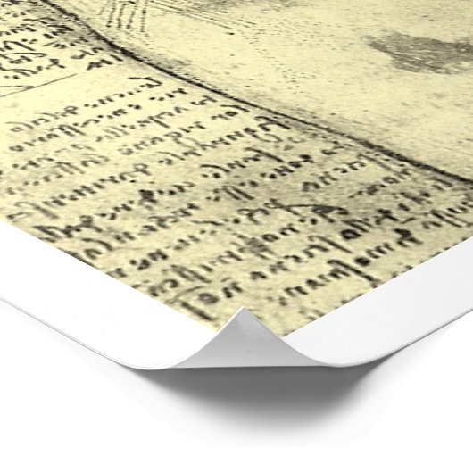 De menselijke anatomie van Leonardo da Vinci, Vrou Poster (Hoek)