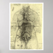De menselijke anatomie van Leonardo da Vinci, Vrou Poster (Voorkant)