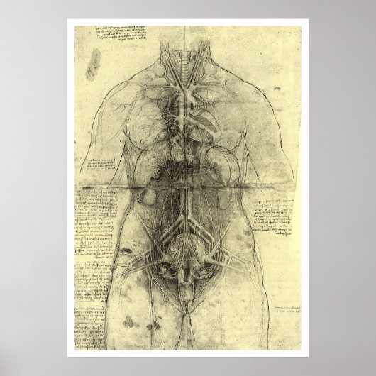 De menselijke anatomie van Leonardo da Vinci, Vrou Poster (Voorkant)