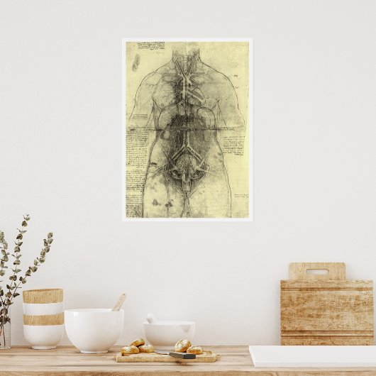 De menselijke anatomie van Leonardo da Vinci, Vrou Poster (Keuken)