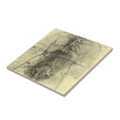 De menselijke anatomie van Leonardo da Vinci, Vrou Tegeltje (Zijkant)