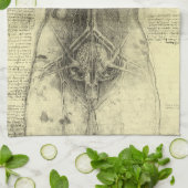 De menselijke anatomie van Leonardo da Vinci, Vrou Theedoek (Gevouwen)