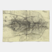 De menselijke anatomie van Leonardo da Vinci, Vrou Theedoek (Horizontaal)